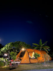 Campsite under the night sky